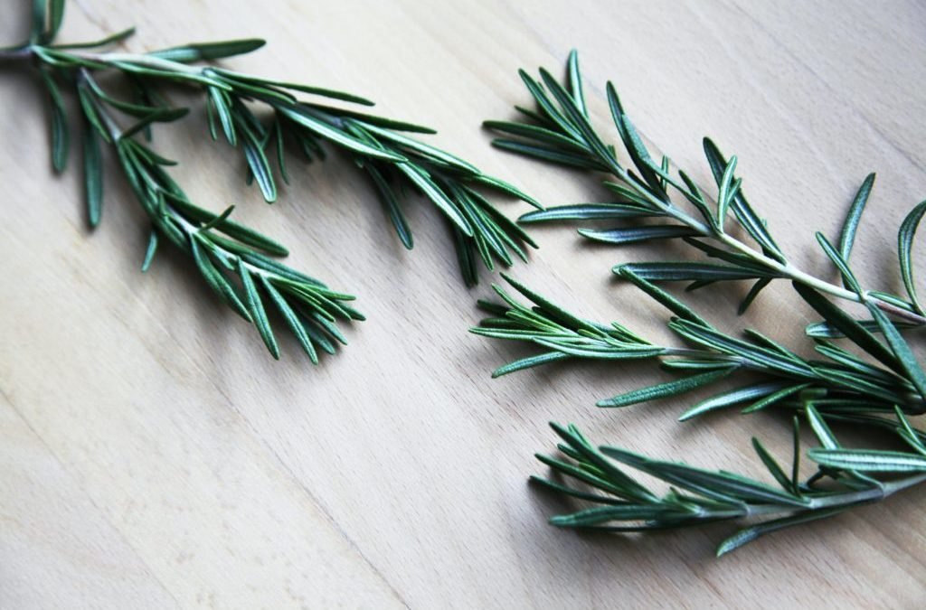 5 REMARKABLE BENEFITS OF ROSEMARY - Addiction Singapore
