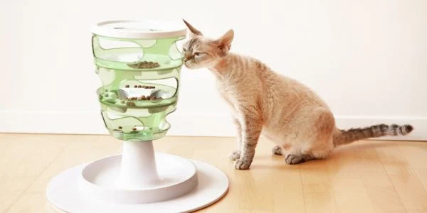 30-Day At-Home Weight Loss Plan for Cats & Dogs