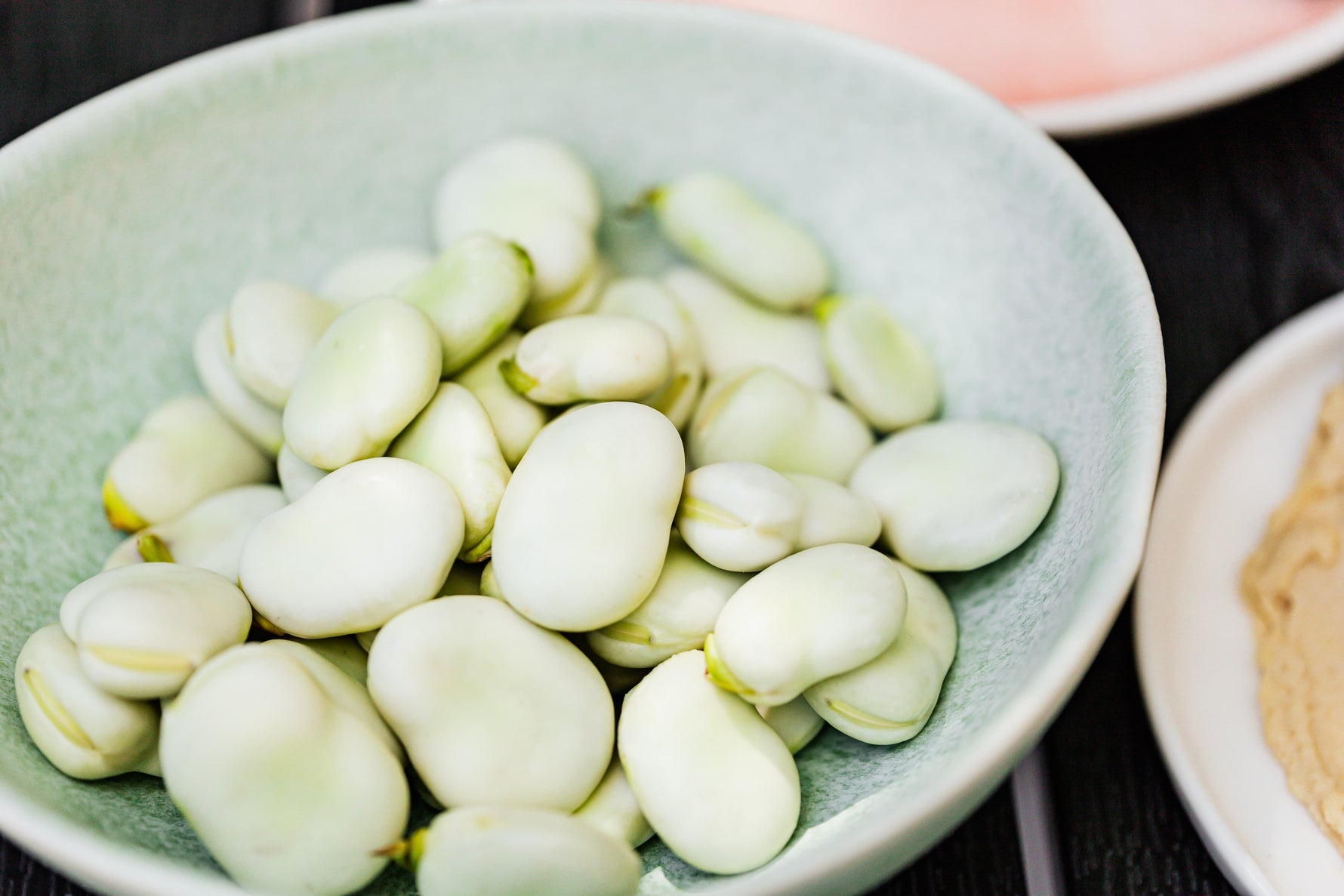 Fava beans for pets: myths, debunked - Addiction Singapore