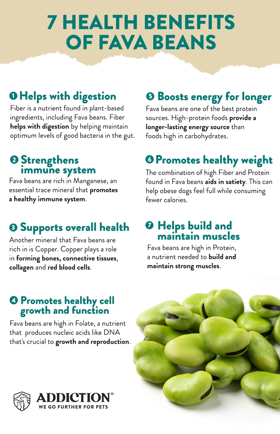 INFOGRAPHIC: 7 health benefits of Fava Beans - Addiction Singapore