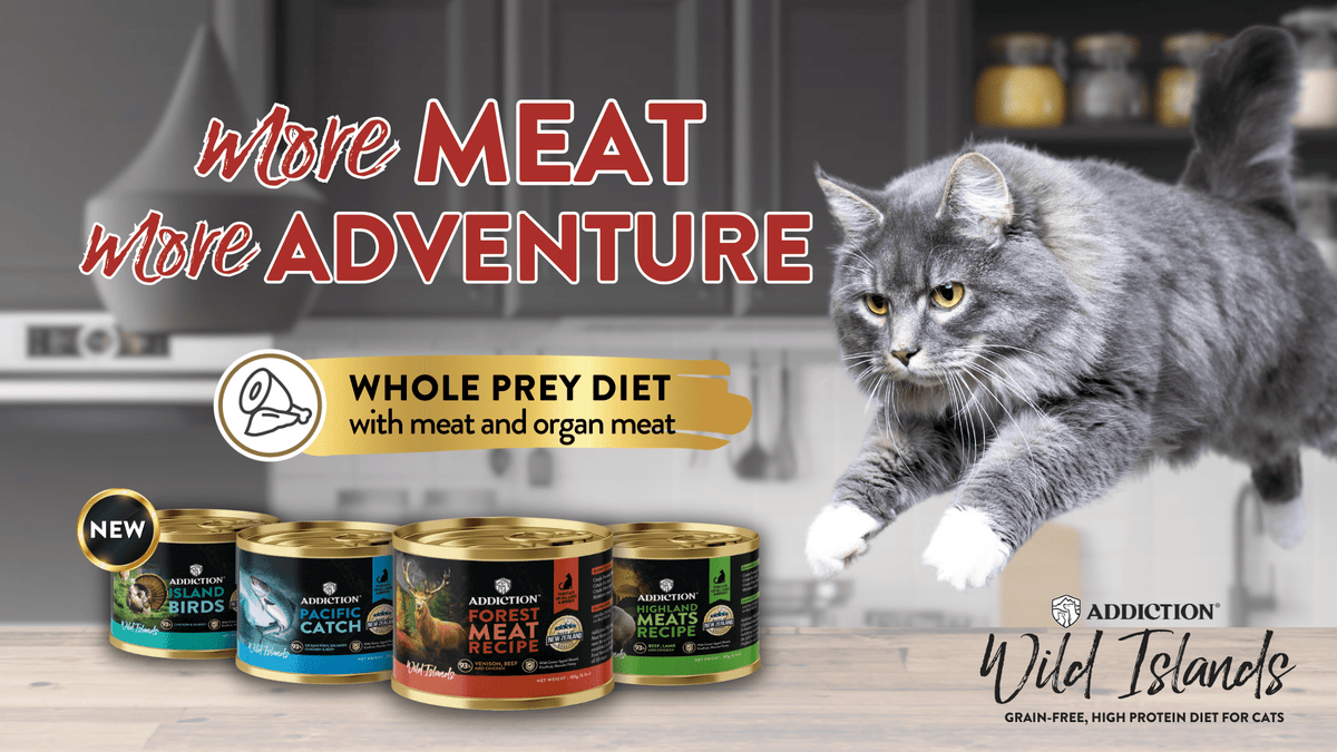 More Meat: Satisfy Your Cat's Natural Cravings - Addiction Singapore