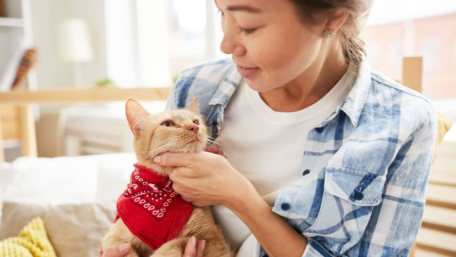 New Beginnings for Cat Lovers: Singapore Opens HDB Doors to Feline Friends! - Addiction Singapore