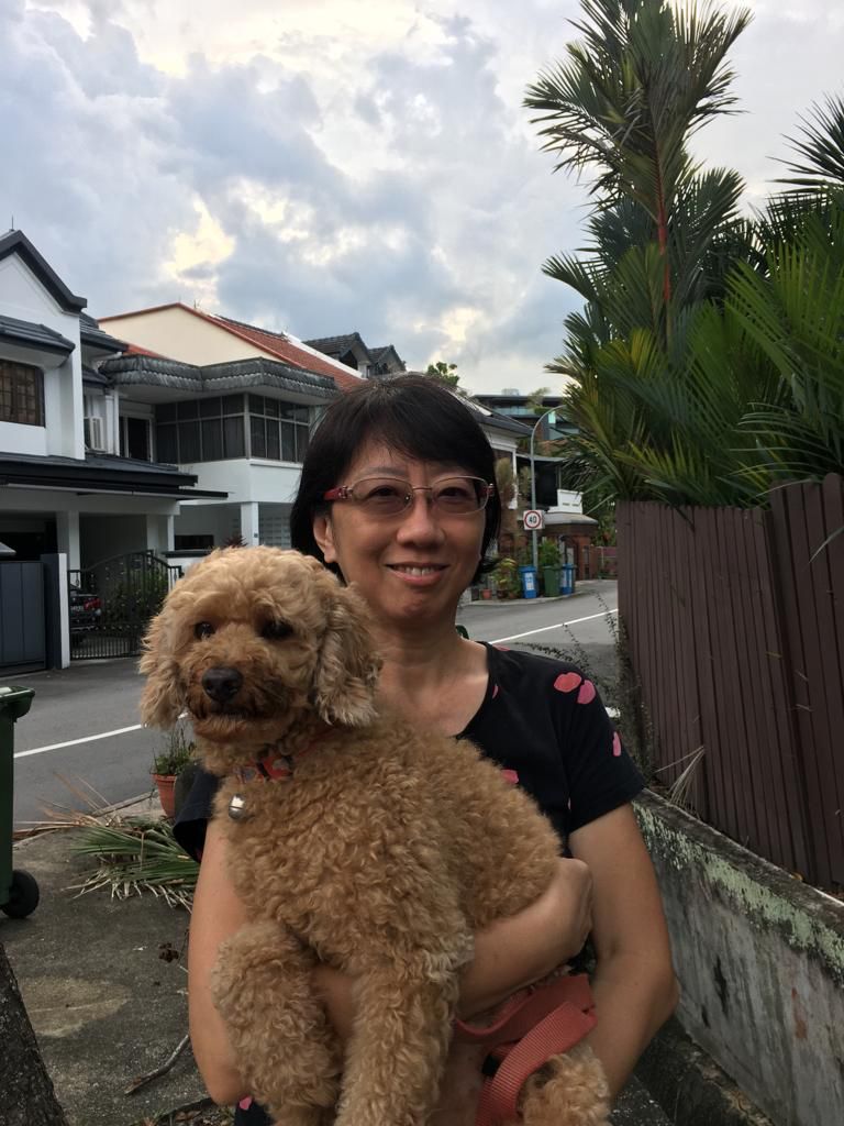Co-Founder Malina Tjhin of Save our Street Dogs Singapore (SOSD) shares how they began saving strays since 2011
