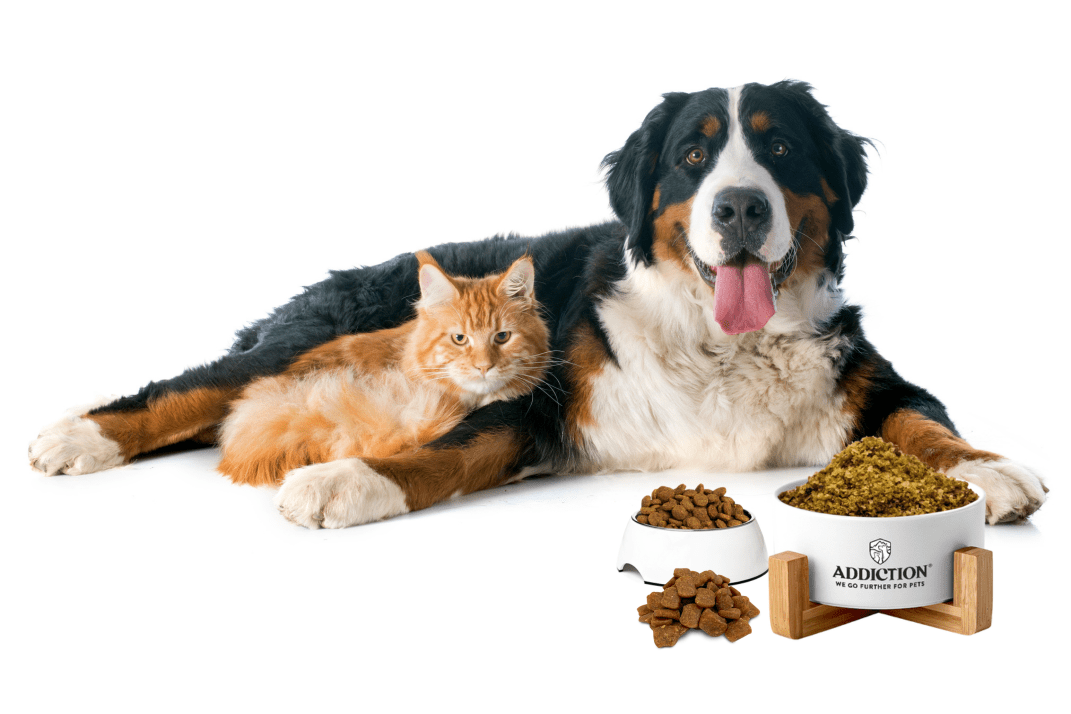 The Benefits of Air-Dried Pet Food - Addiction Singapore