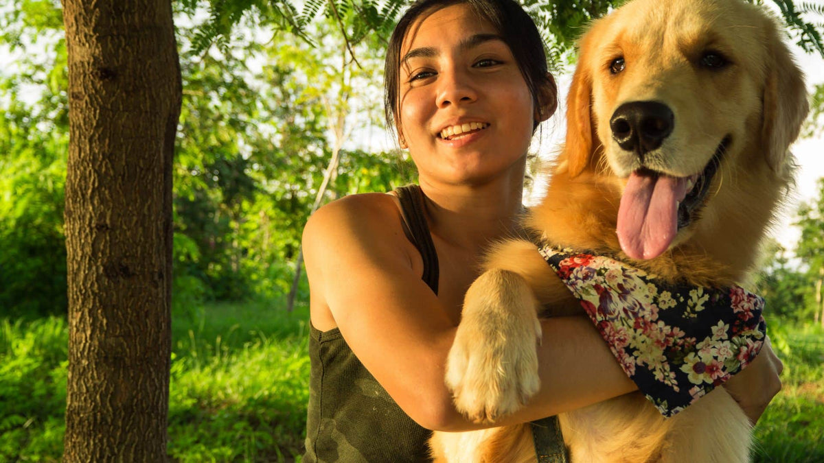 The Pets Effect: Health, Love, and Well-being - Addiction Singapore