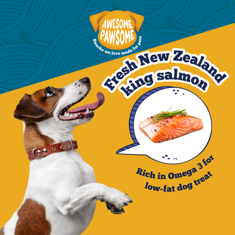 Awesome Pawsome All Natural Dog Treats Salmon Supreme Recipe 85g