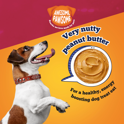 Awesome Pawsome All Natural Dog Treats Peanut Butter and Cranberry Recipe 85g