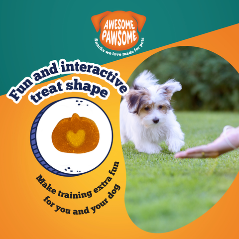 Awesome Pawsome All Natural Dog Treats Super Pumpkin Recipe 85g