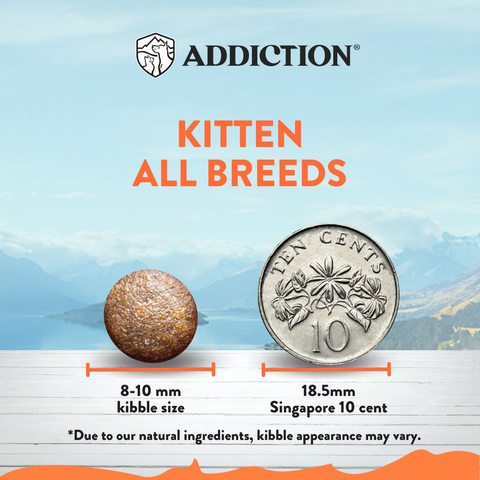Chicken Supreme Kitten Cat Dry Food