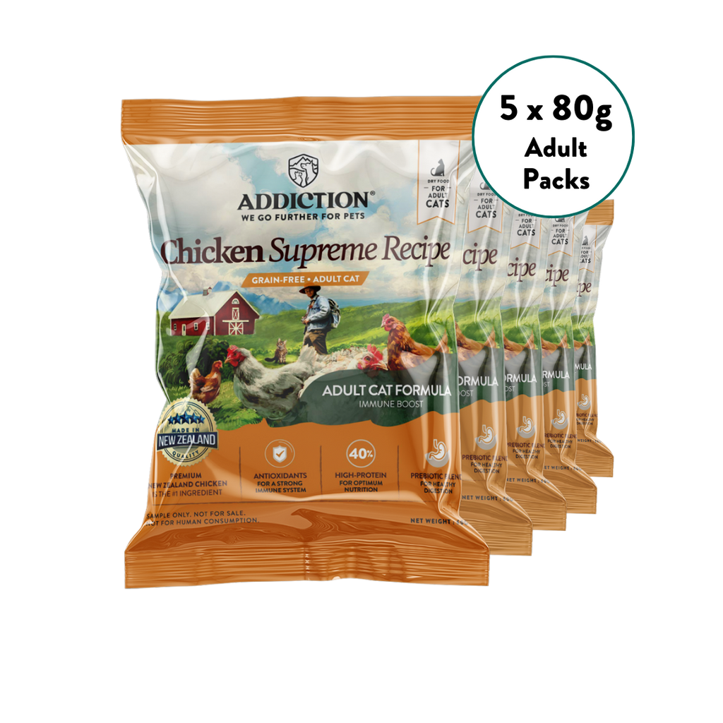 [Cat Trial Pack Bundle] Chicken Supreme Recipe Adult Dry Food 60g