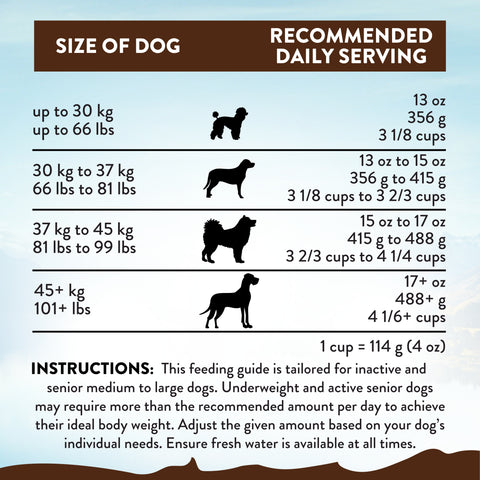 Addiction Mega Chicken – Large Breed Senior 15 kg