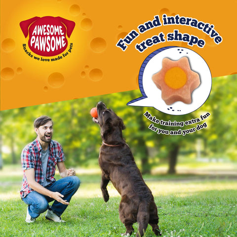 Awesome Pawsome All Natural Dog Treats Baconmania