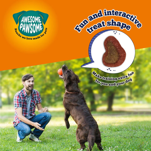 Awesome Pawsome All Natural Dog Treats Beefy Bites