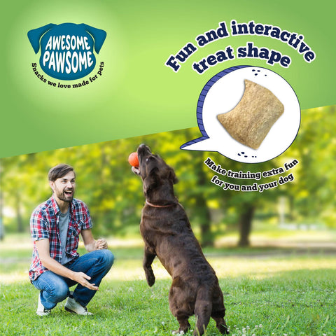 Awesome Pawsome All Natural Dog Treats Chicken Dumpling