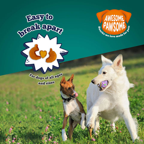 Awesome Pawsome All Natural Dog Treats Super Pumpkin