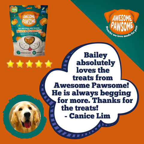 Awesome Pawsome All Natural Dog Treats Super Pumpkin