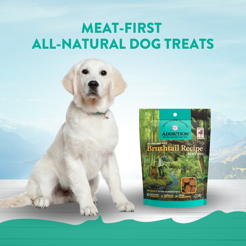 Brushtail Meaty Bites - Hypoallergenic Dog Treats