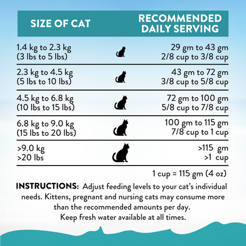 Addiction Salmon Bleu Dry Cat Food 1.8kg, 4.5kg