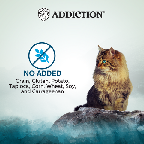 Wild Islands King Salmon Wet Cat Food 85g