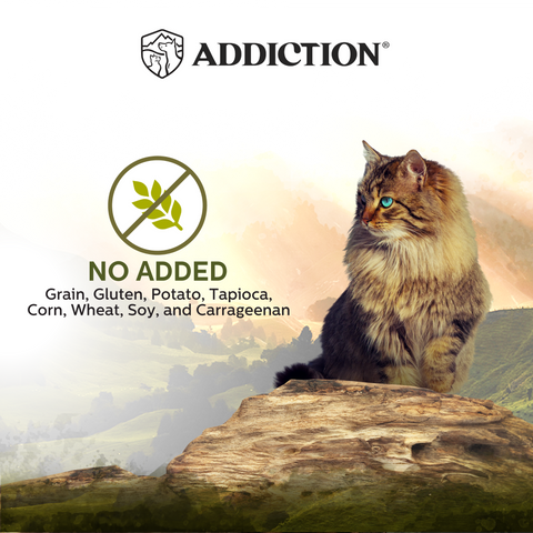 [M]Addiction Wild Islands Highland Meats Lamb & Beef High-Meat, Organ Meat Canned Cat Food 185 gm