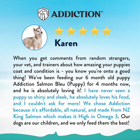 Salmon Bleu Puppy Dry & Treat Starter Bundle - 1.8kg Dry & 113g Treat