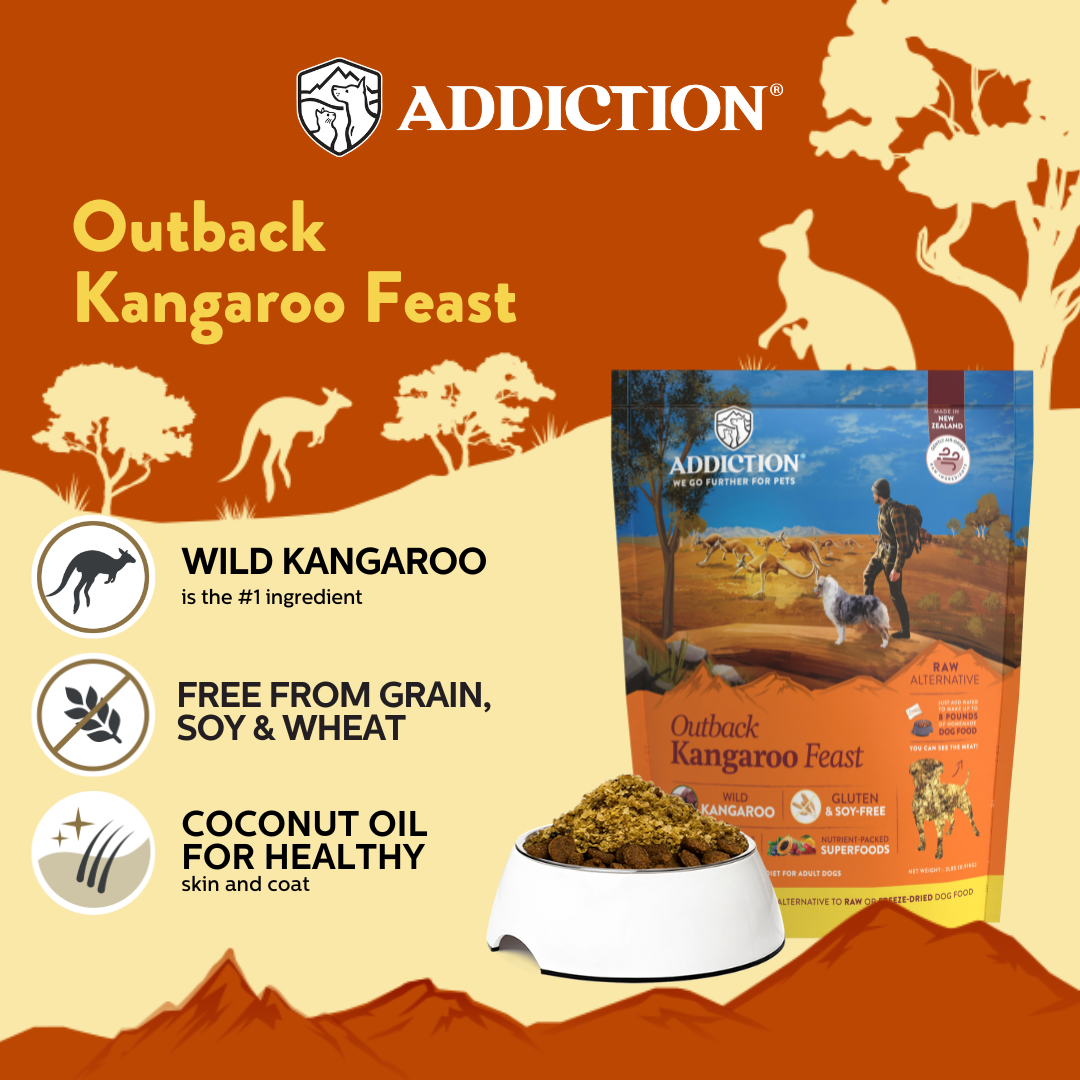 Wild Kangaroo Dry & Treats Starter Bundle - 1.8kg Dry, 910g Topper & 113g Treat