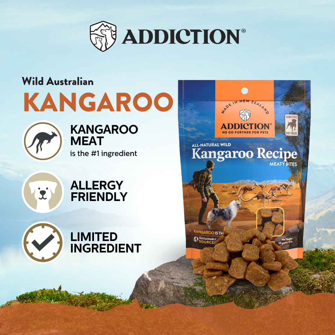 Wild Kangaroo Dry & Treats Starter Bundle - 1.8kg Dry, 910g Topper & 113g Treat