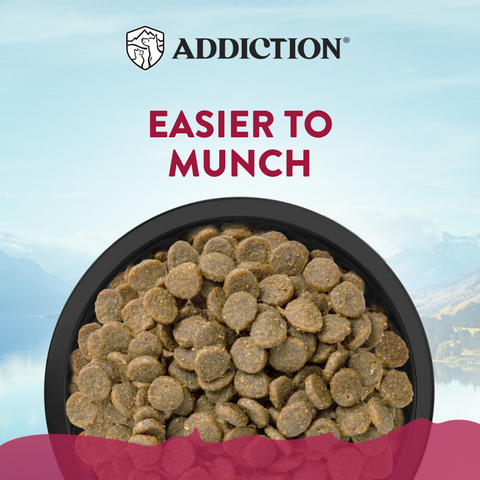 Addiction Viva La Venison (for Small Dogs) 1.5kg