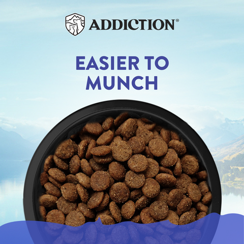 Addiction Duck Royale Entrée (for Small Dogs) 1.5 kg