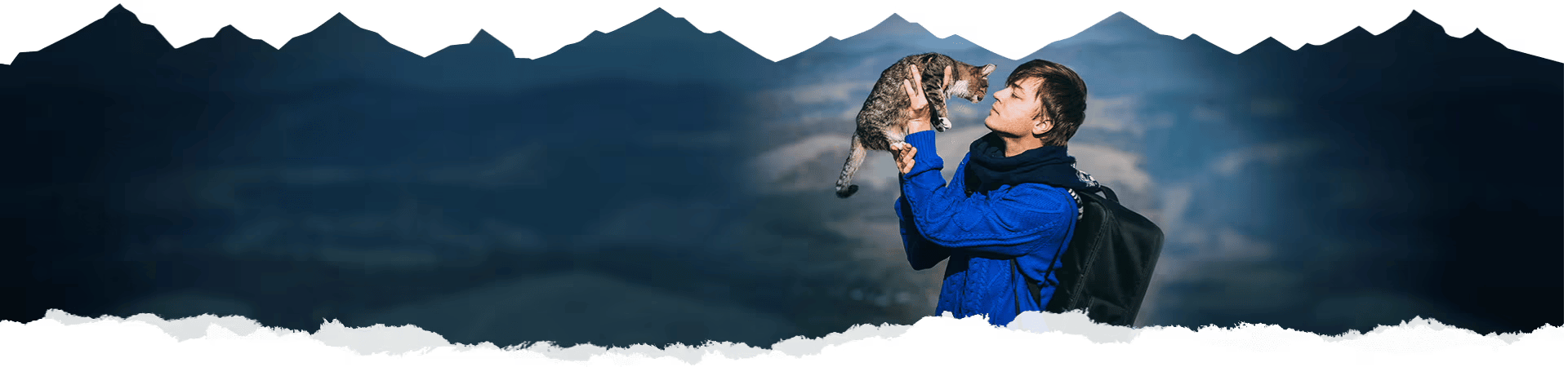 Complete & Balanced for Cats