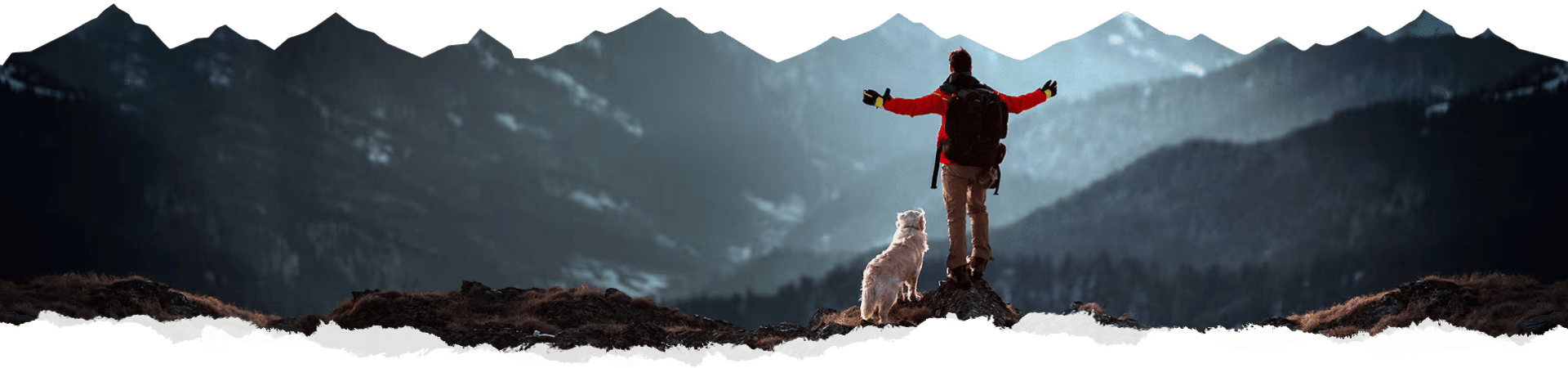 Complete & Balanced for Dogs