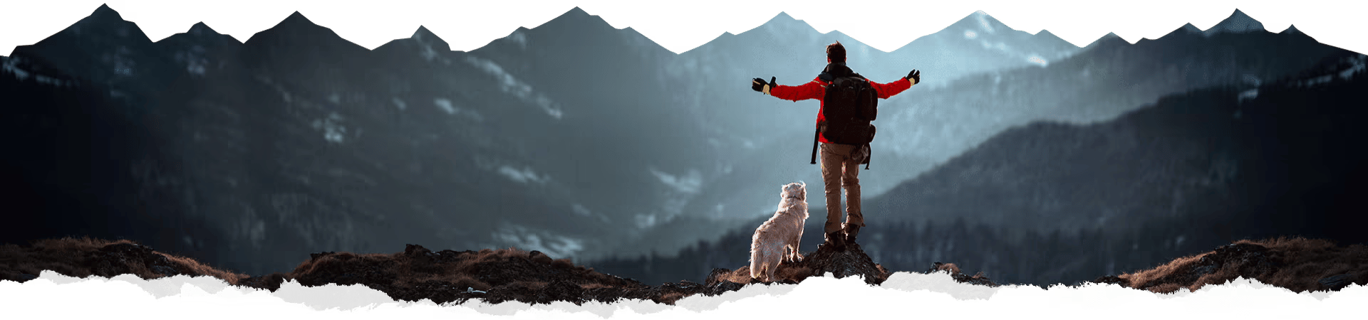 Large Breed Dog Food