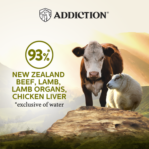 Wild Islands Highland Beef & Lamb Wet Cat Food 85g