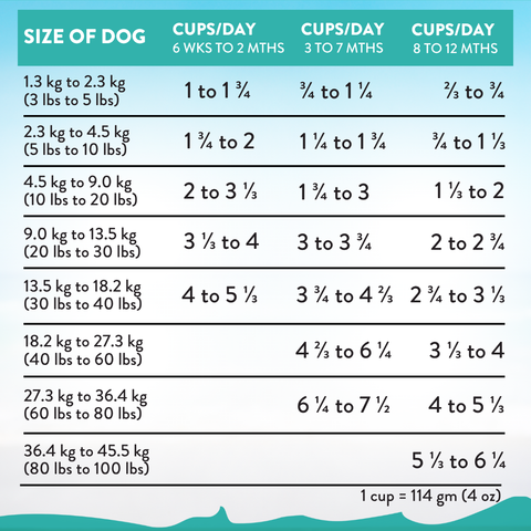Salmon Bleu Puppy Dry & Treat Starter Bundle - 1.8kg Dry & 113g Treat