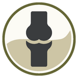 JOINT SUPPORT