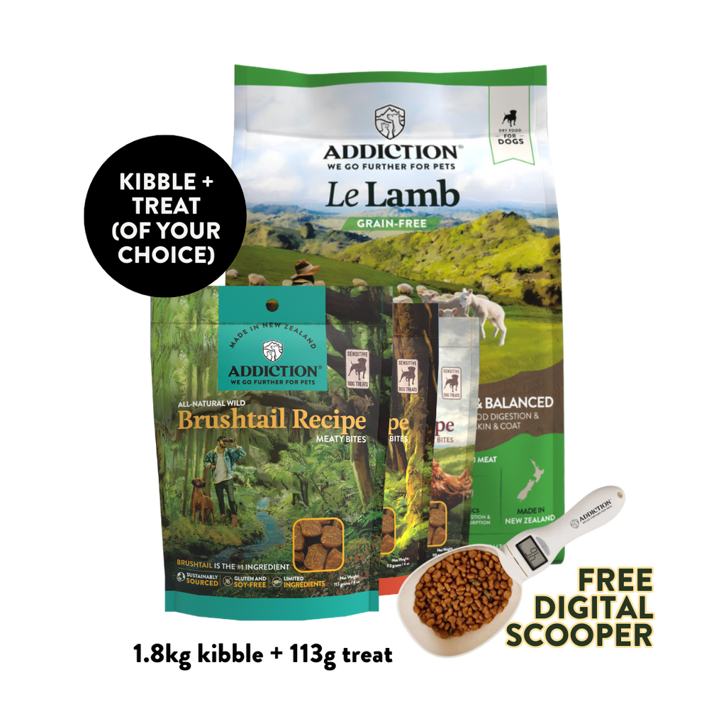 Le Lamb Dry & Treat Bundle - 1.8kg Dry & 113g Treat