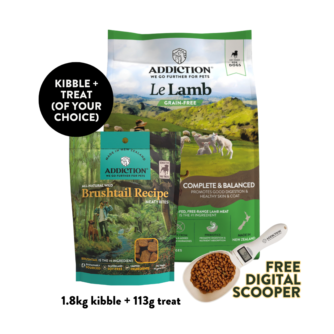 Le Lamb Dry & Treat Bundle - 1.8kg Dry & 113g Treat