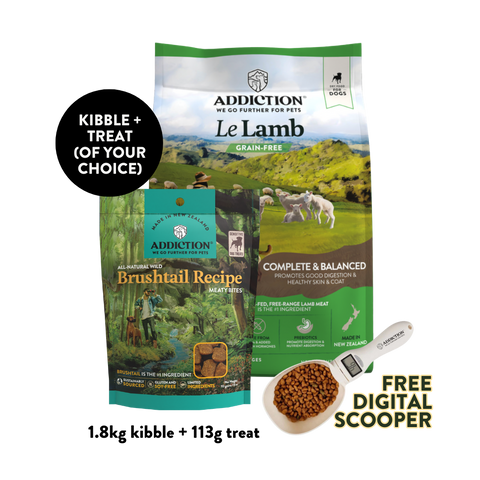 Le Lamb Dry & Treat Bundle - 1.8kg Dry & 113g Treat