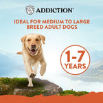 Addiction Mega Chicken – Large Breed Adult 20 kg - Addiction Singapore