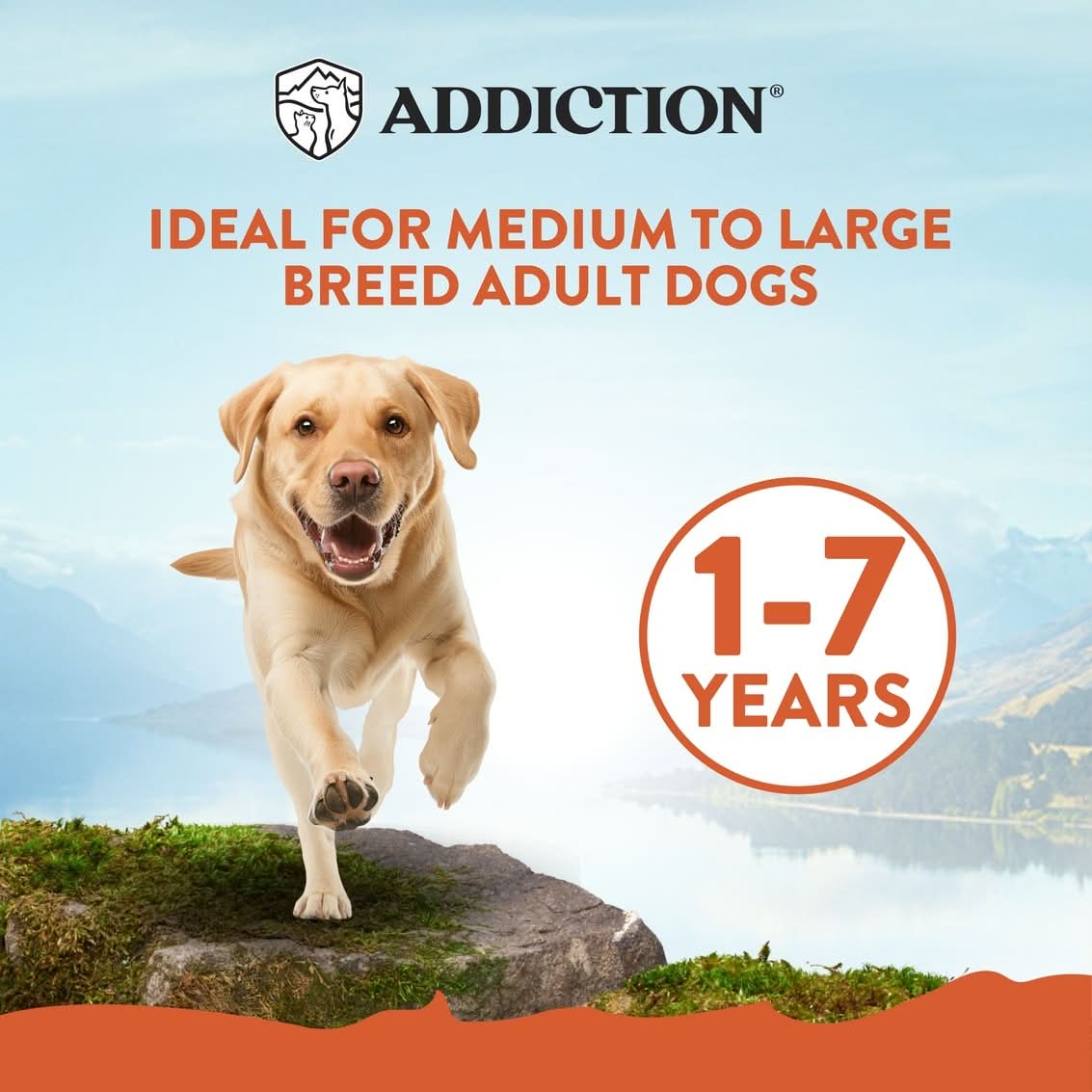 Addiction Mega Chicken – Large Breed Adult 20 kg - Addiction Singapore