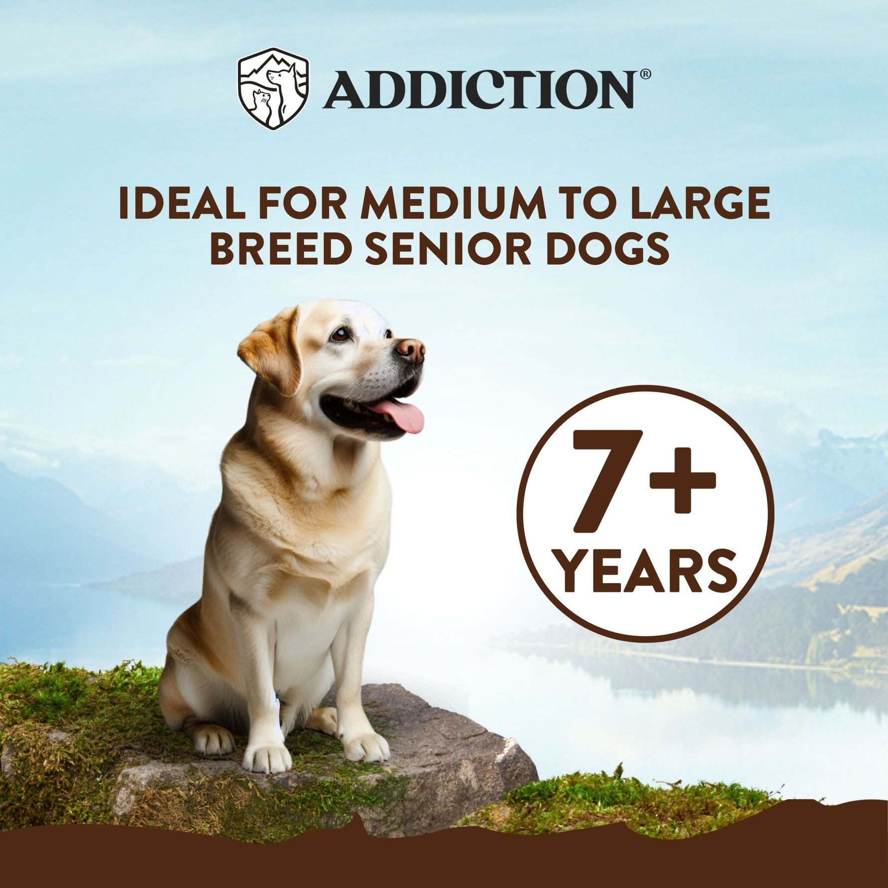 Addiction Mega Chicken – Large Breed Senior 15 kg - Addiction Singapore
