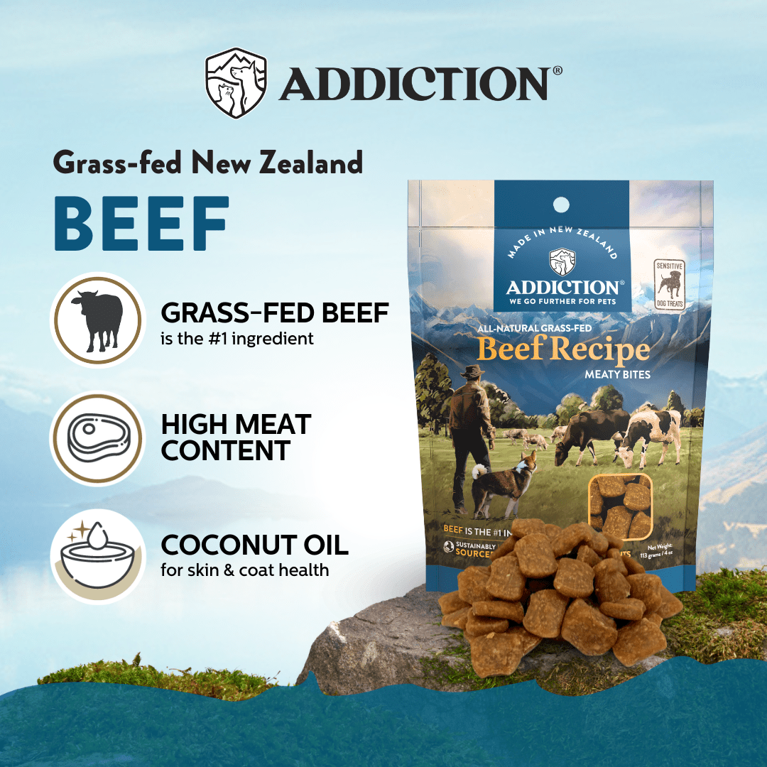 Beef Meaty Bites - Hypoallergenic Dog Treats 113g - Addiction Singapore