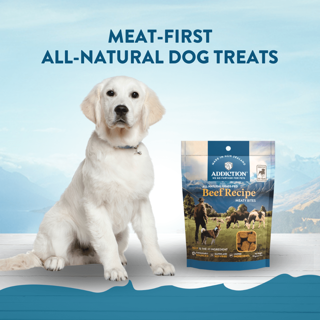 Beef Meaty Bites - Hypoallergenic Dog Treats 113g - Addiction Singapore