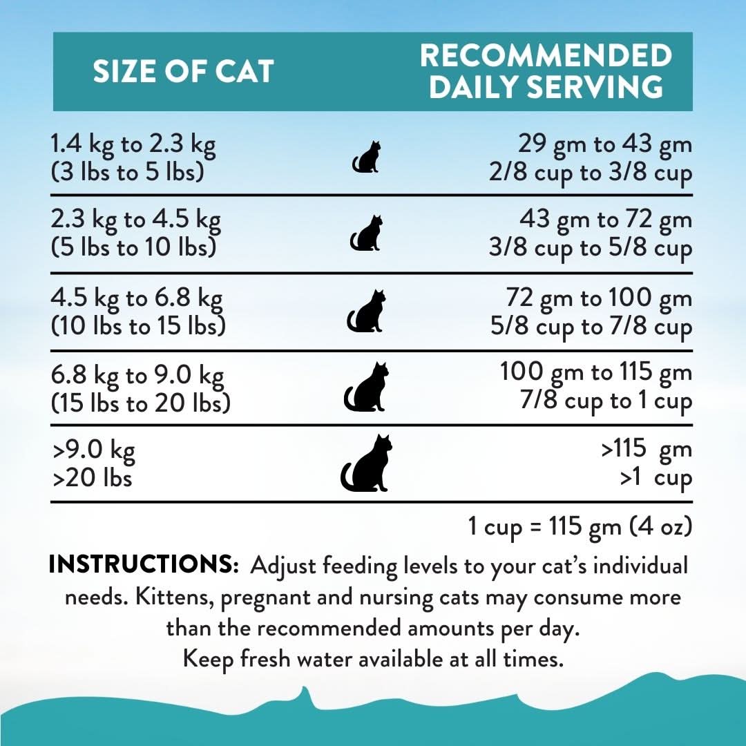 [Trial Pack Bundle] Salmon Bleu Grain-Free Dry Cat Food 5 x 60g - Addiction Singapore