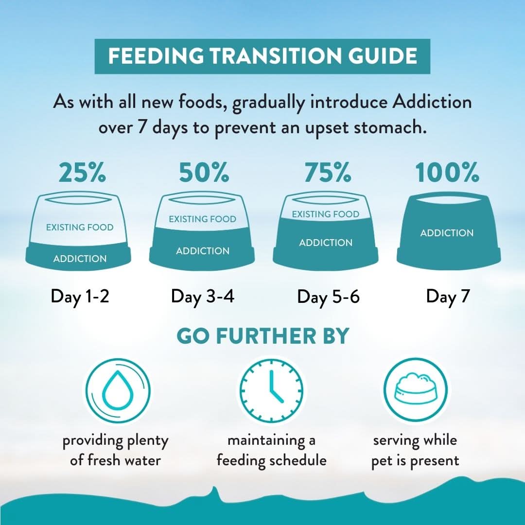 [Trial Pack Bundle] Salmon Bleu Grain-Free Dry Cat Food 5 x 60g - Addiction Singapore