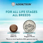 [Trial Pack Bundle] Salmon Bleu Grain-Free Dry Cat Food 5 x 60g - Addiction Singapore