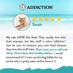 [Trial Pack Bundle] Salmon Bleu Grain-Free Dry Cat Food 5 x 60g - Addiction Singapore