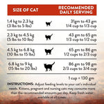[Trial Pack] Wild Islands NZ Forest Meat Recipe Venison-First Grain-Free Dry Cat Food 60g - Addiction Singapore