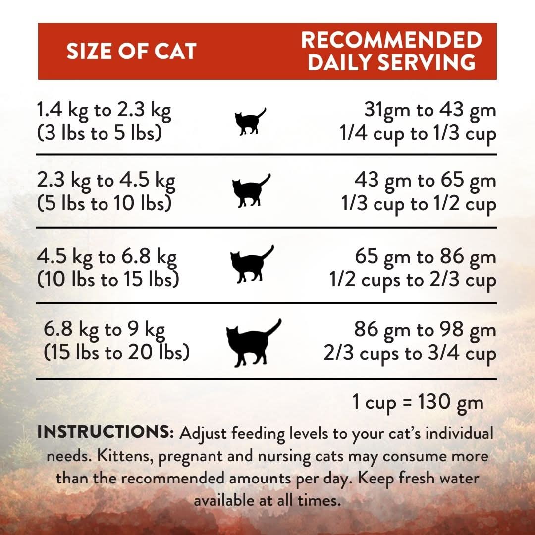 [Trial Pack] Wild Islands NZ Forest Meat Recipe Venison-First Grain-Free Dry Cat Food 60g - Addiction Singapore