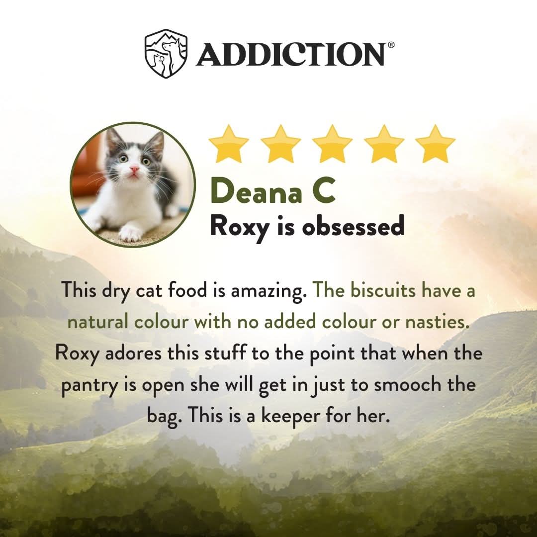 [Trial Pack] Wild Islands NZ Highland Meats Recipe Lamb & Beef-First Grain-Free Dry Cat Food 60g - Addiction Singapore